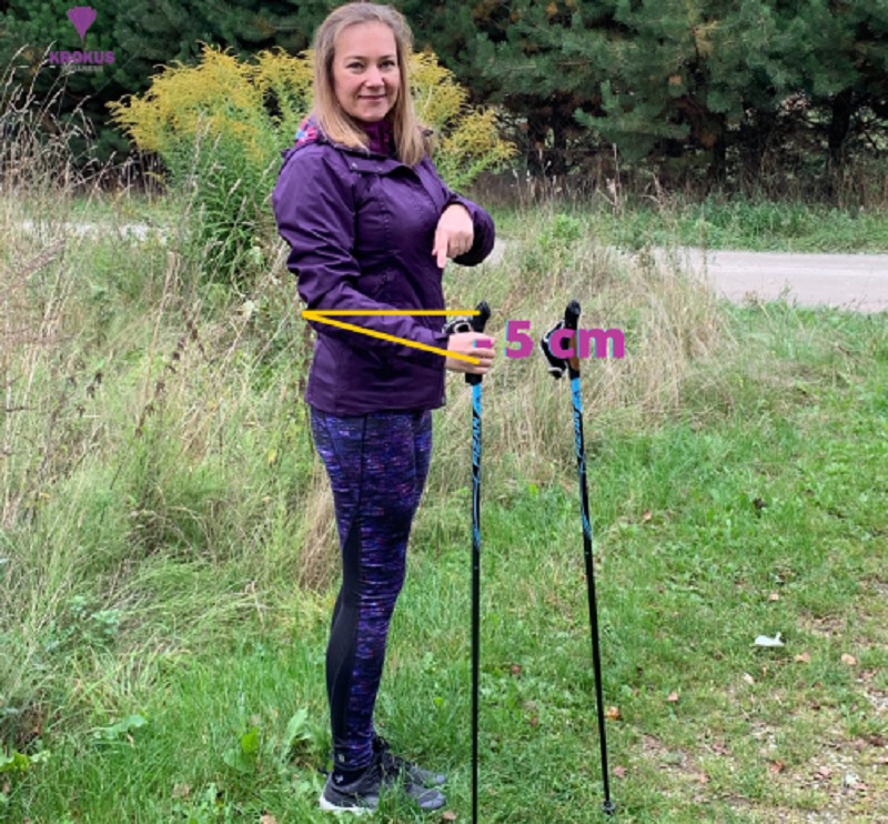 długość kijów nordic walking jpg