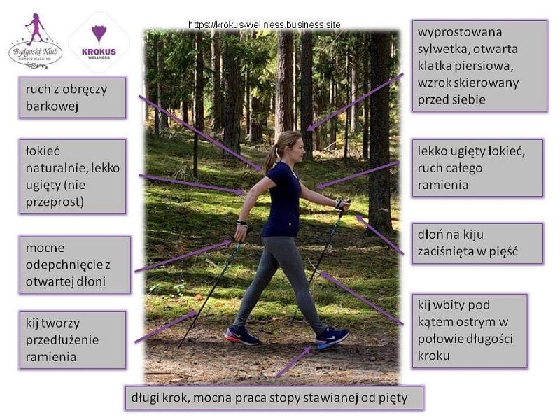 technika marszu nordic walking jpg